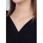 PI10995-OD
