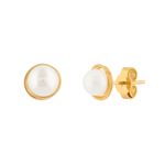BR09848-OD--1-