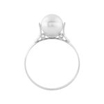 AN10384-OD--2--copy