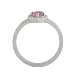 AN12522-OD-1.webp